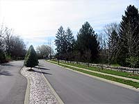 Photo of Street in Mockingbird Gardens Louisville Kentucky