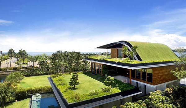 Photo of a modern house design with a rooftop garden